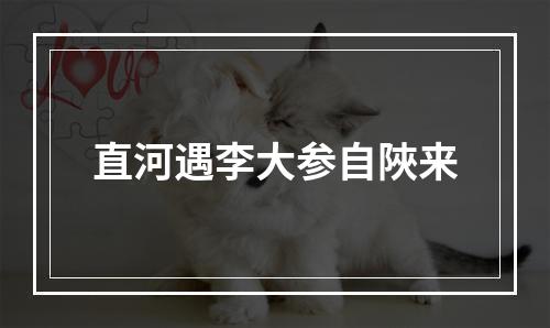 直河遇李大参自陜来
