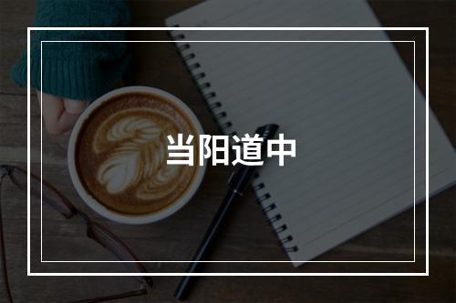 当阳道中