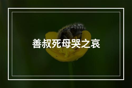 善叔死母哭之哀
