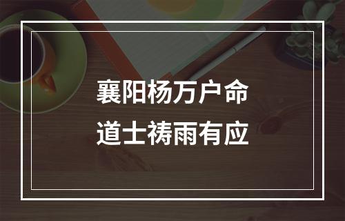 襄阳杨万户命道士祷雨有应