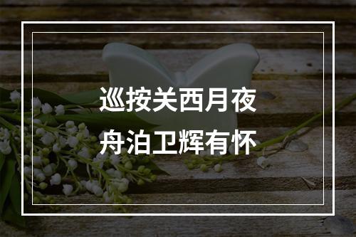巡按关西月夜舟泊卫辉有怀