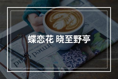 蝶恋花 晓至野亭