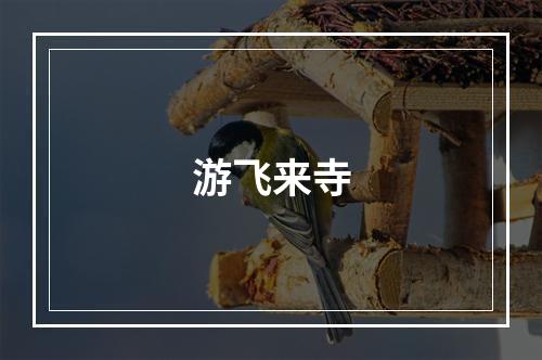 游飞来寺