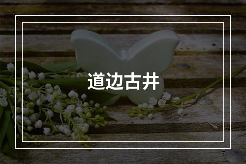 道边古井
