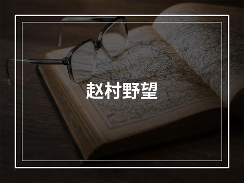 赵村野望