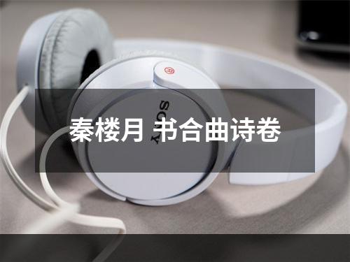 秦楼月 书合曲诗卷