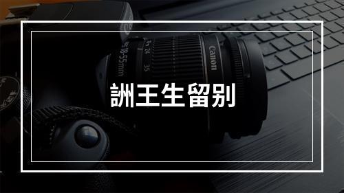 詶王生留别