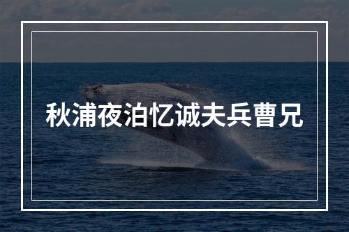 秋浦夜泊忆诚夫兵曹兄
