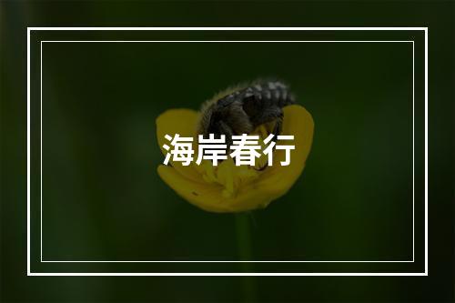海岸春行