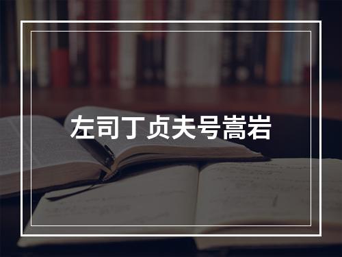 左司丁贞夫号嵩岩