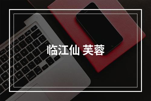 临江仙 芙蓉