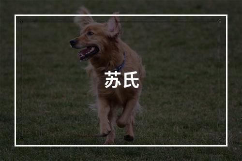 苏氏