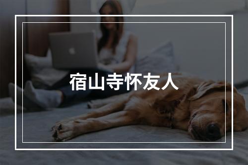 宿山寺怀友人
