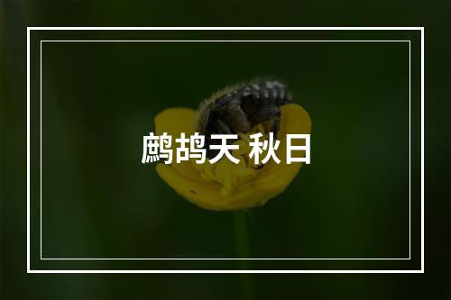 鹧鸪天 秋日
