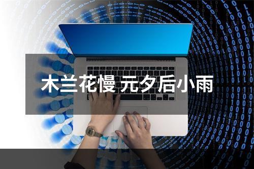 木兰花慢 元夕后小雨