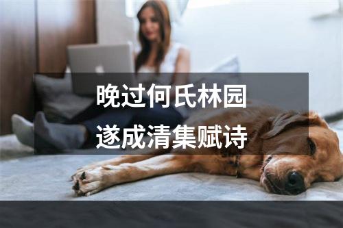 晚过何氏林园遂成清集赋诗