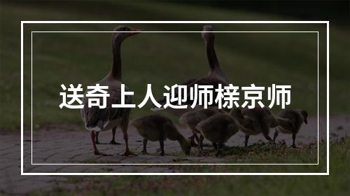 送奇上人迎师榇京师
