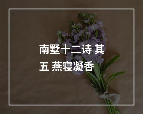 南墅十二诗 其五 燕寝凝香