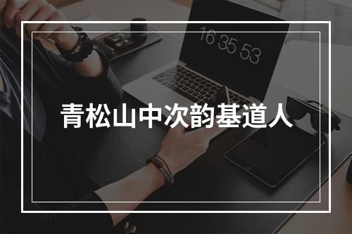 青松山中次韵基道人