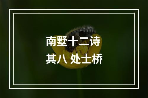 南墅十二诗 其八 处士桥