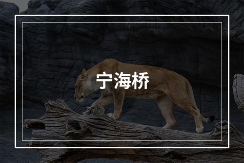宁海桥