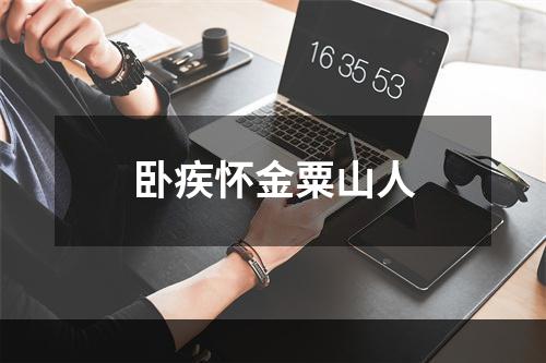 卧疾怀金粟山人