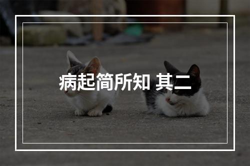 病起简所知 其二