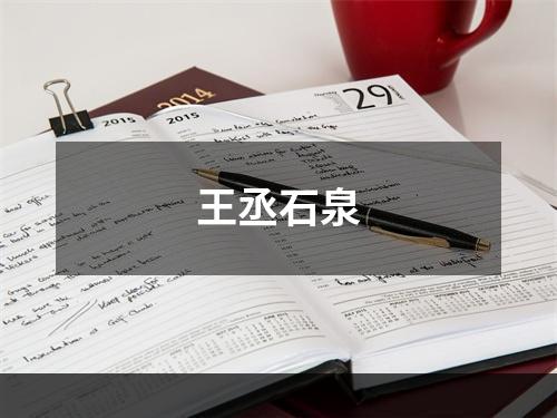 王丞石泉