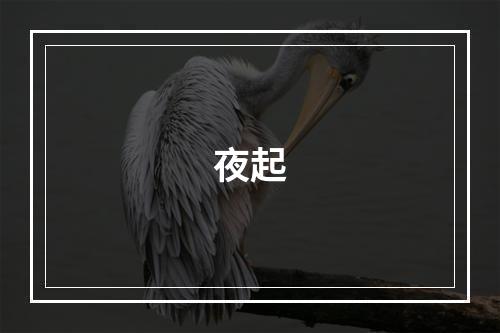 夜起