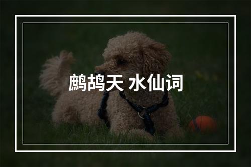 鹧鸪天 水仙词