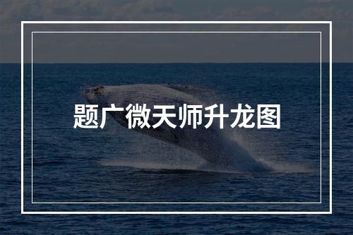 题广微天师升龙图