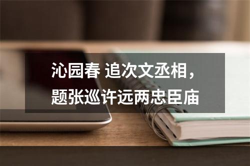 沁园春 追次文丞相，题张巡许远两忠臣庙
