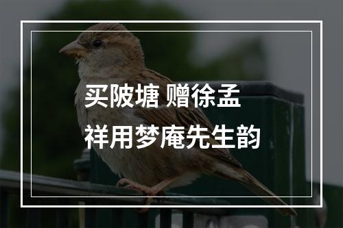 买陂塘 赠徐孟祥用梦庵先生韵