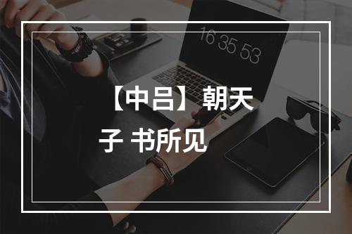 【中吕】朝天子 书所见