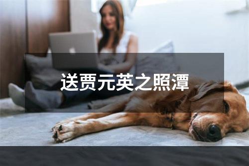 送贾元英之照潭