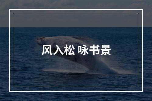 风入松 咏书景