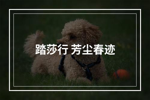 踏莎行 芳尘春迹