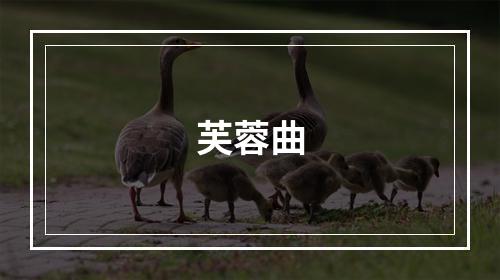 芙蓉曲