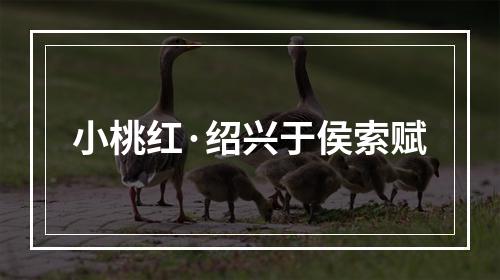 小桃红·绍兴于侯索赋