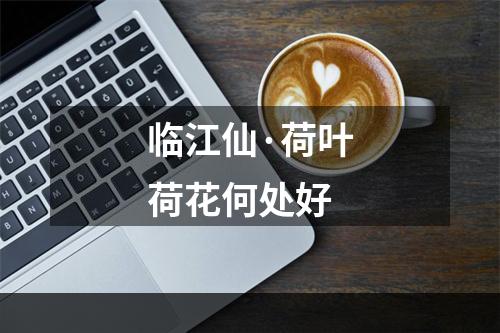 临江仙·荷叶荷花何处好