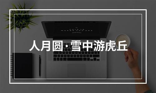 人月圆·雪中游虎丘