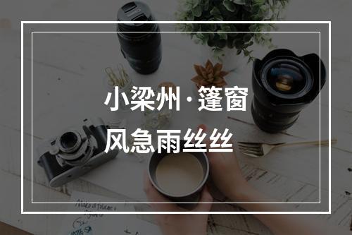 小梁州·篷窗风急雨丝丝