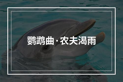 鹦鹉曲·农夫渴雨