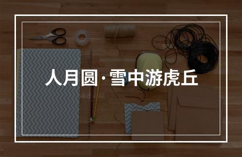 人月圆·雪中游虎丘