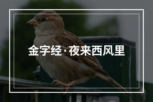 金字经·夜来西风里