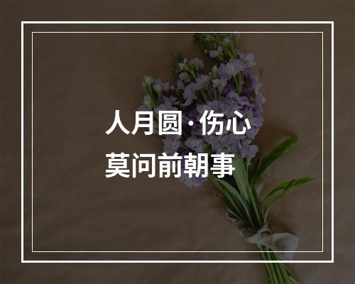 人月圆·伤心莫问前朝事