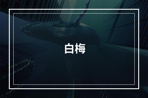 白梅