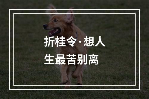 折桂令·想人生最苦别离