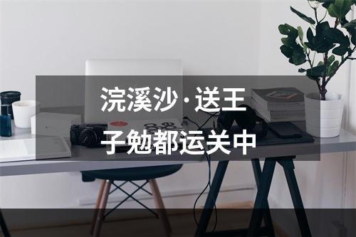 浣溪沙·送王子勉都运关中