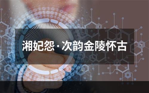 湘妃怨·次韵金陵怀古